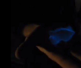 Purell Hand Fire