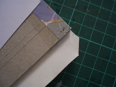 Covering the Cover Pages