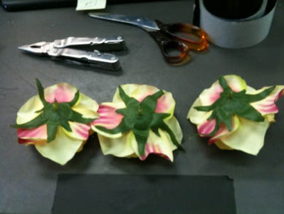 Flower Fun