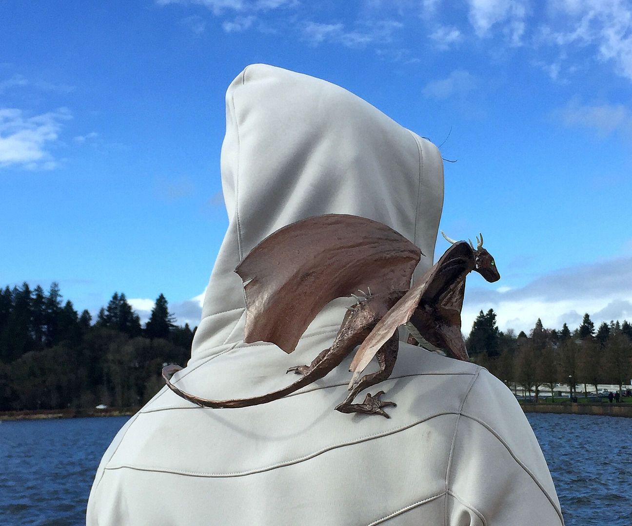 How to Build Your Dragon