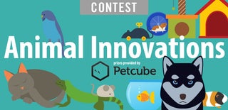 Animal Innovations Contest