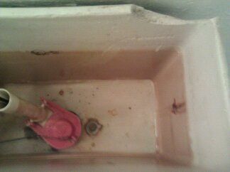 Attack the Bathroom!!!