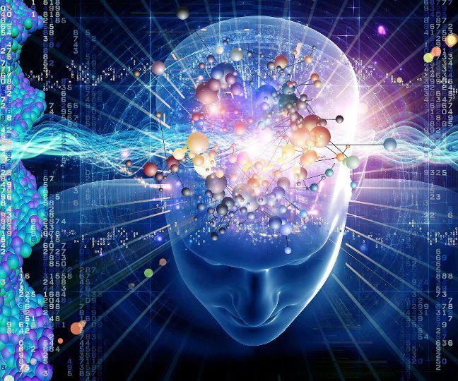 The Uses of Smart Drugs in Human Life