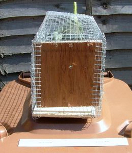 Making A Rabbit Trap Making a Really Simple Rabbit Trap : 6 Steps - Instructables