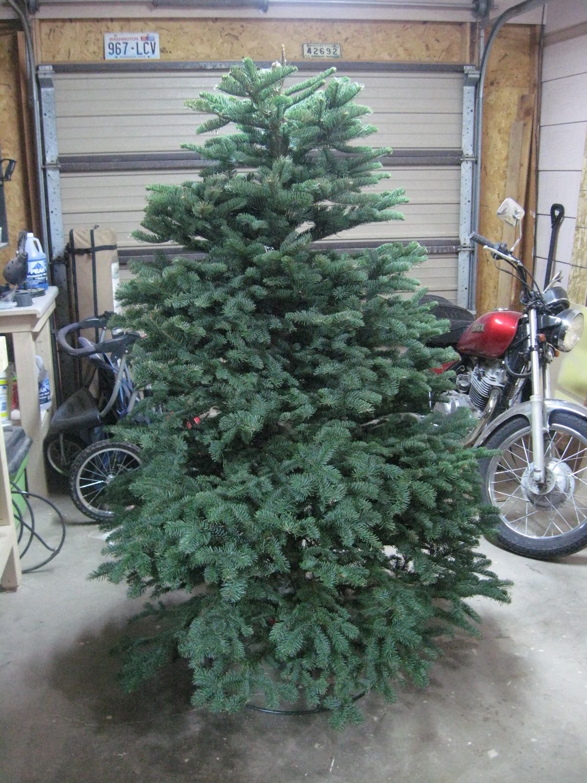 Turn a Used Christmas Tree Into a Didgeridoo 15 Steps (with Pictures