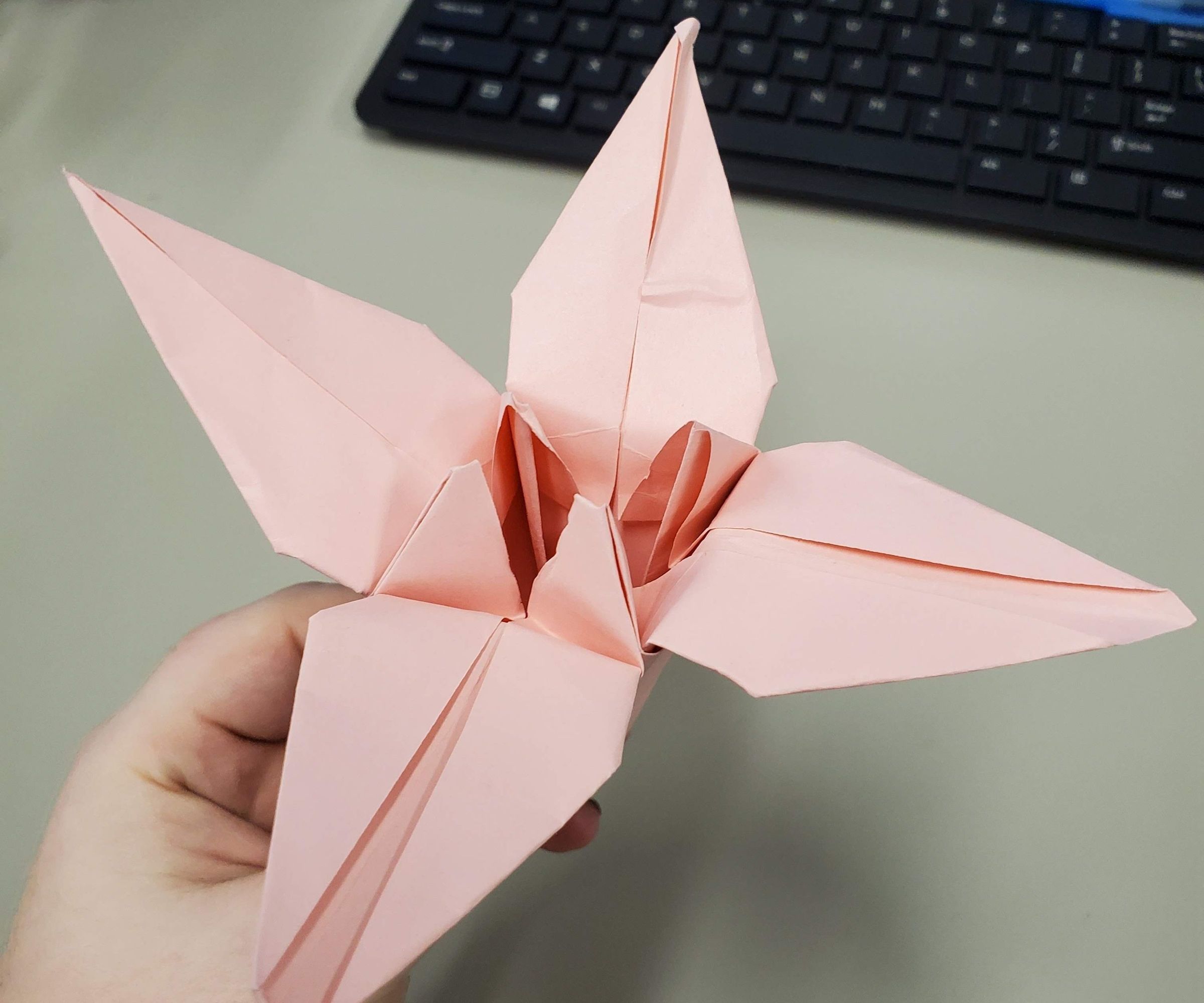 Origami Lily