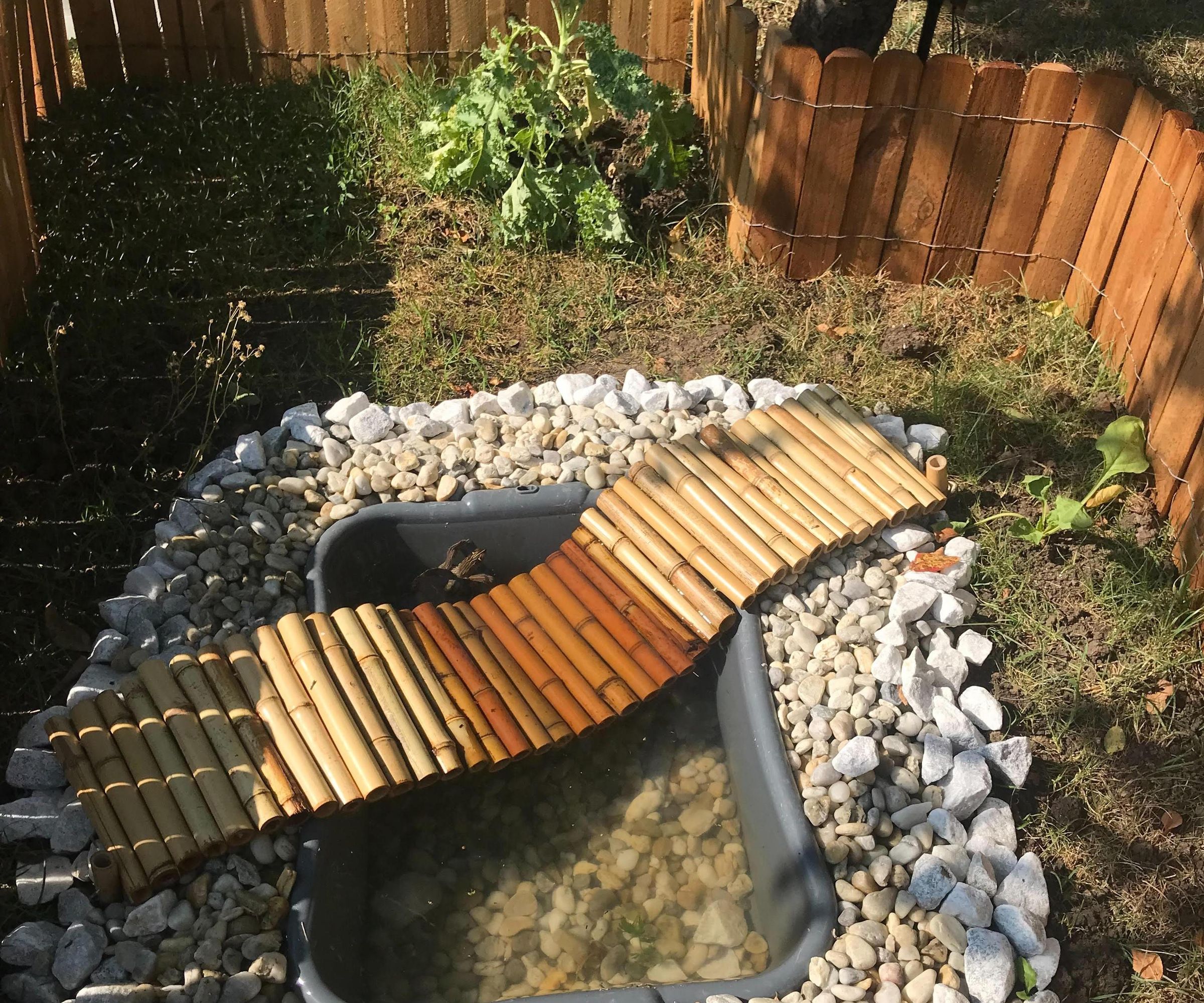 Backyard Summer Turtle Pond Project!