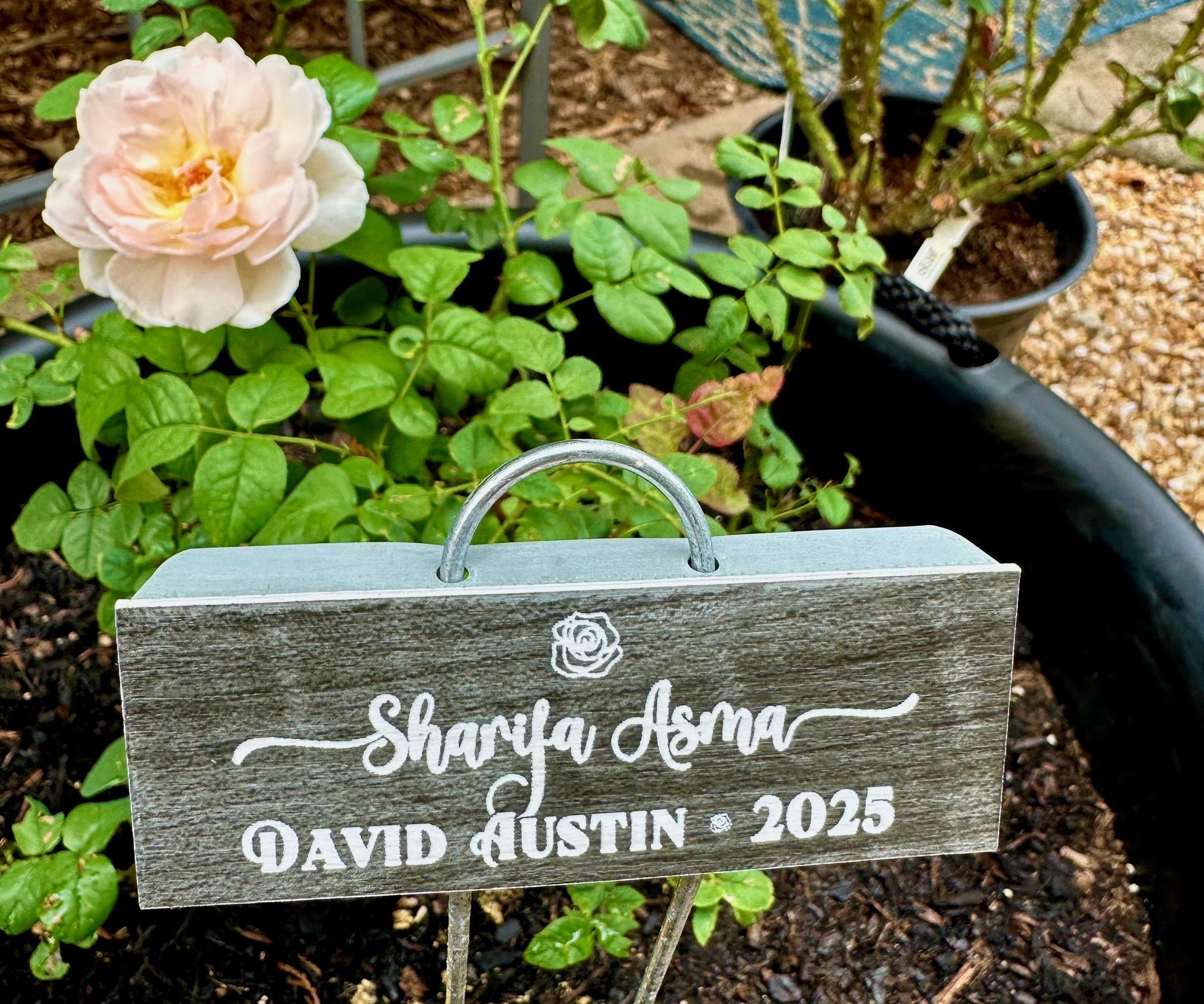 DIY Laser-Cut Plant Markers for Roses & Veggie Gardens
