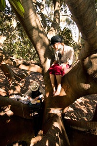 Everything Tastes Better With Company.. in Trees