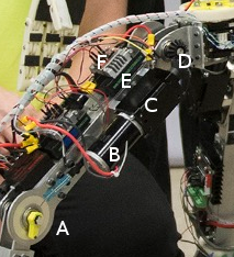 The Components and Rough Layout