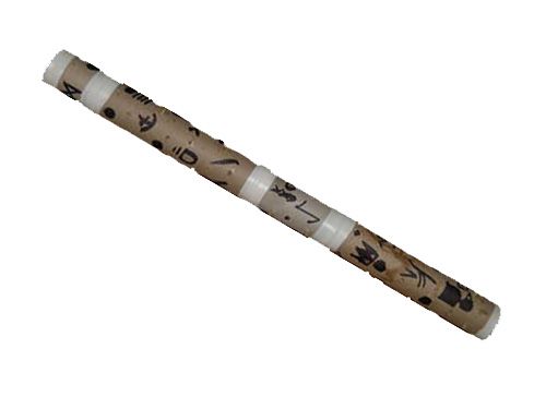 Recycled Rain Stick