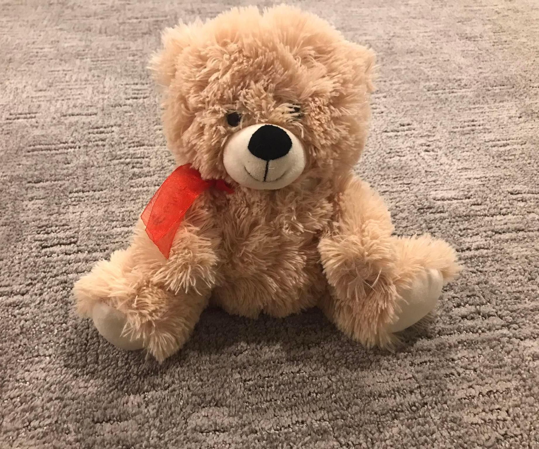 Hide It Teddy 