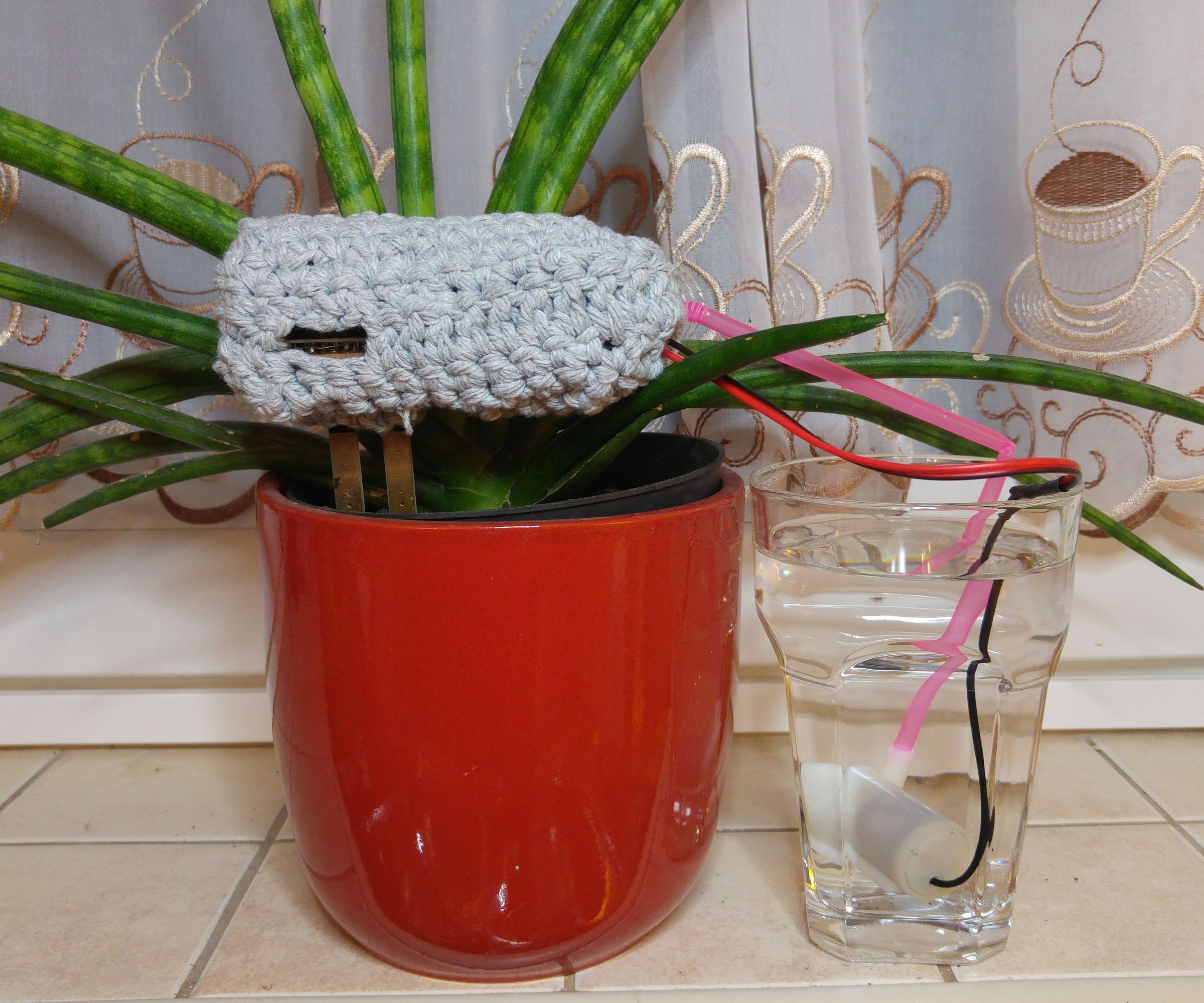 PlantCare Best DIY Present for Mothers 