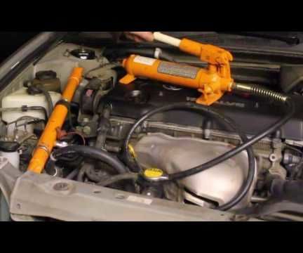 Hit a Deer? Fix It for Less Than Your Deductible