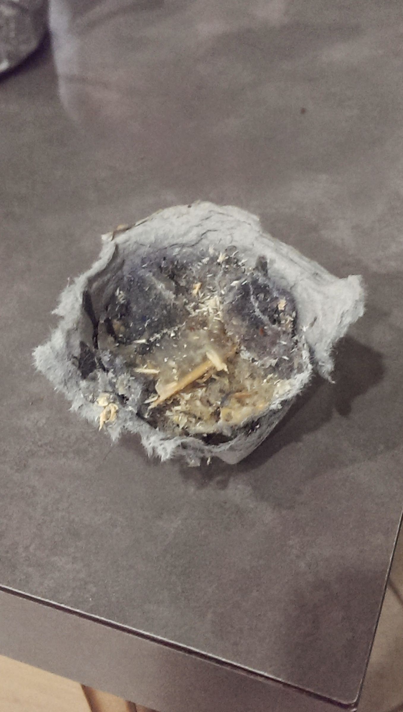 DIY Firestarter 3 Steps Instructables