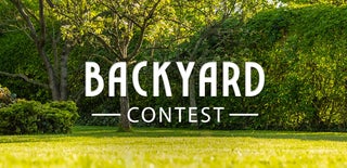 Backyard Contest