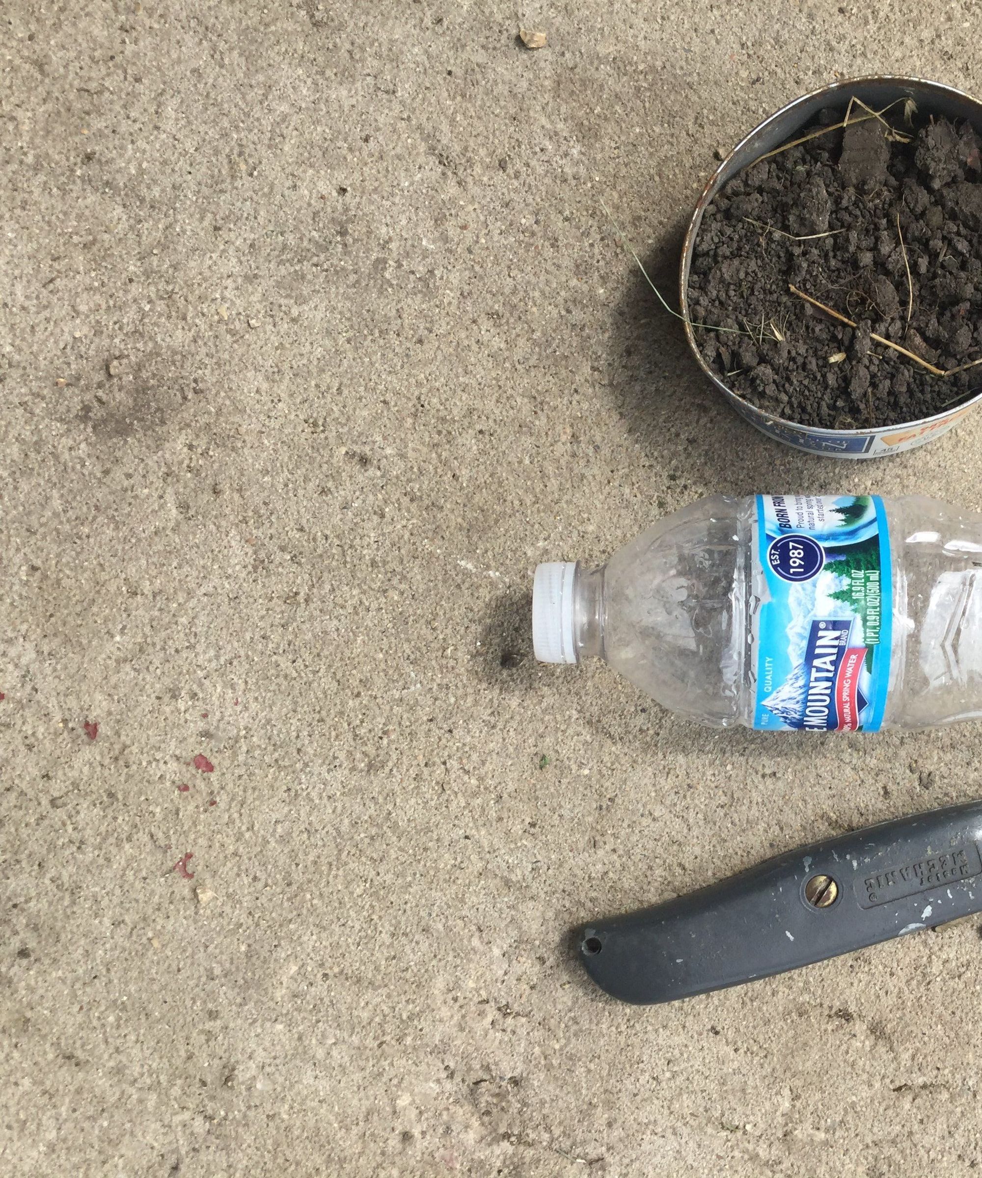 How to Make a Water Bottle Plant Starter