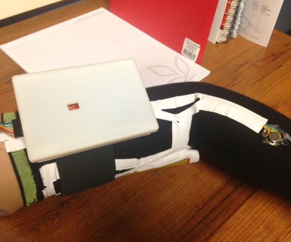 Wearable Skin Temperature Logger