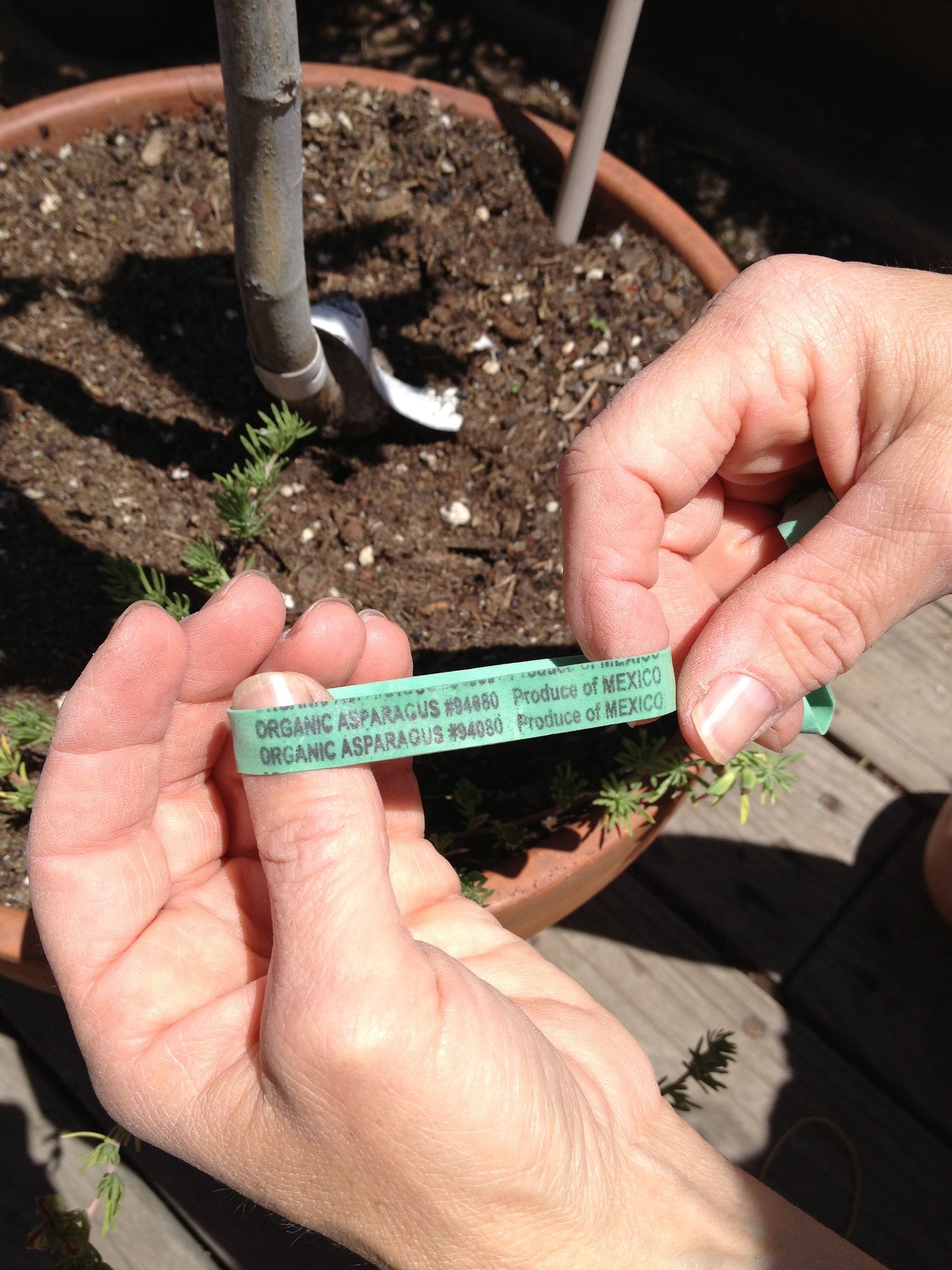 Stabilizing Tree Anchor 3 Steps Instructables