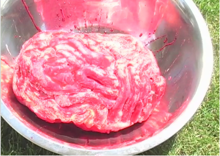 BFX: How to Make a Fake Brain