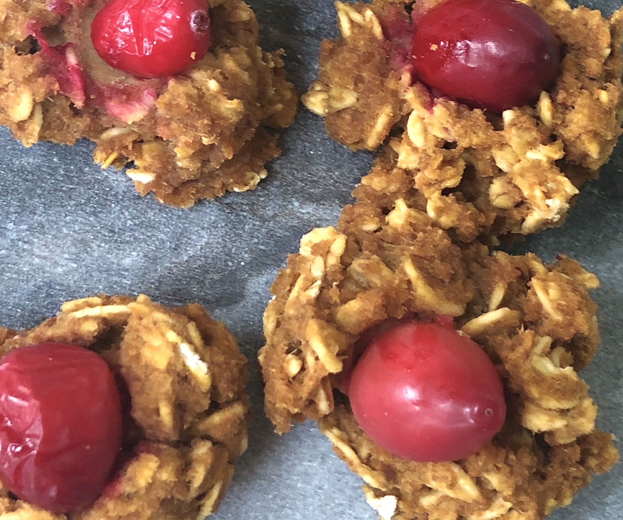Dehydrated Turkey & Sweet Potato Cookies (for Dogs!)
