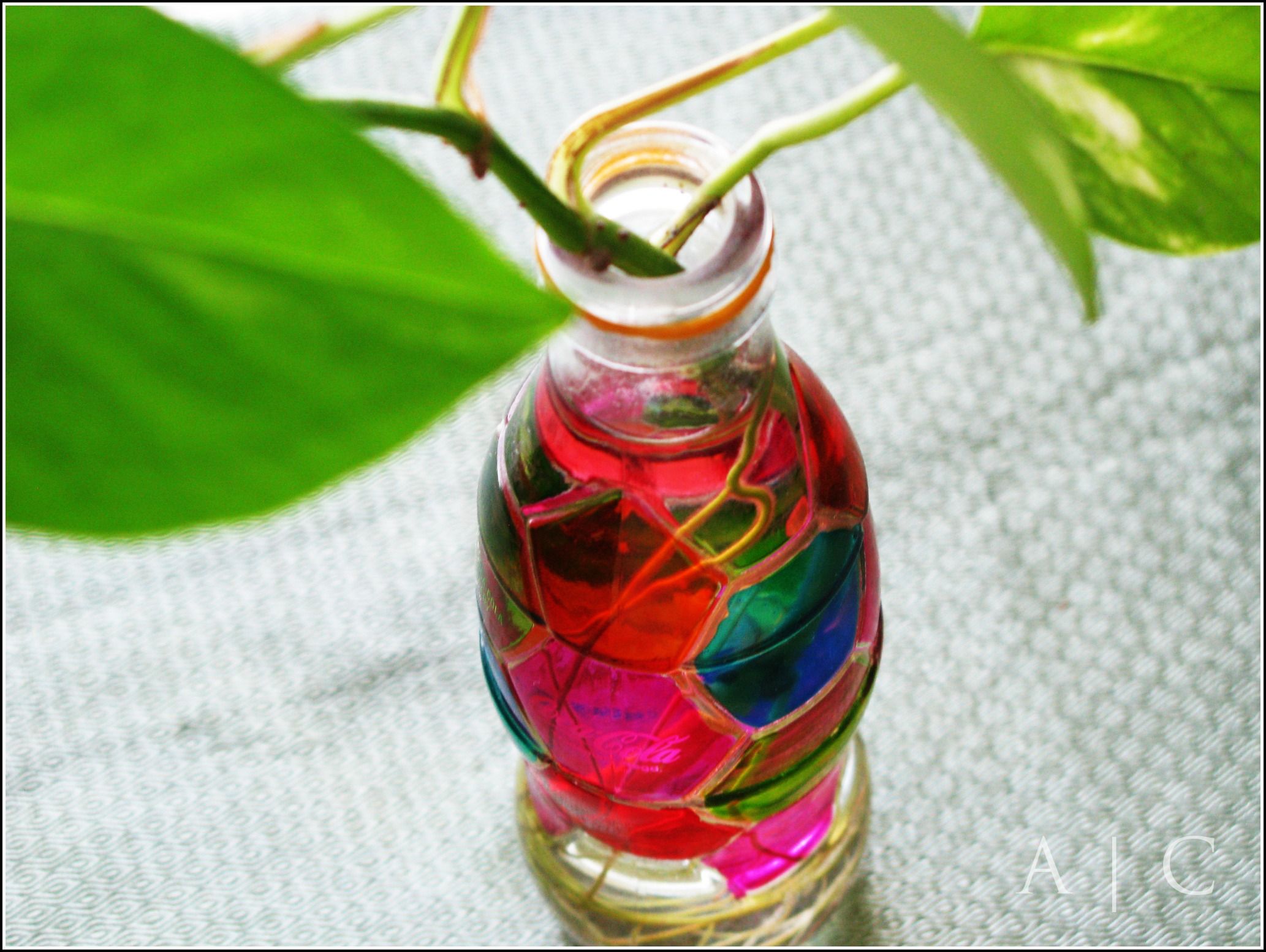 DIY Coke Bottle Vase