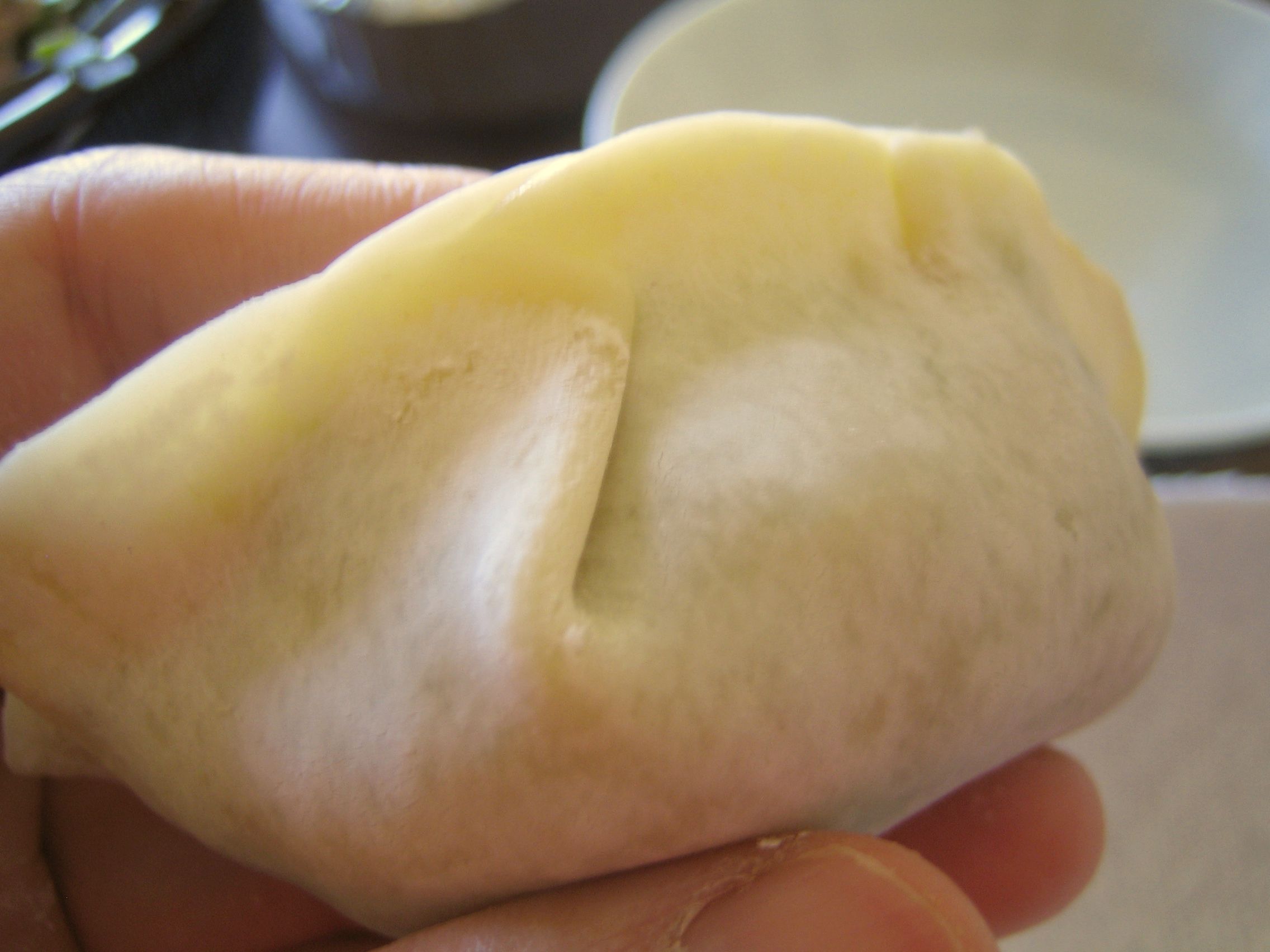 How to Make Potstickers From Scratch! 6 Steps (with Pictures