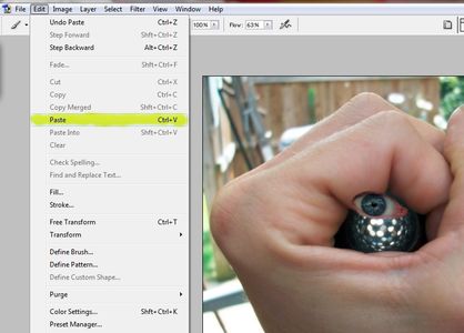 Cutting and Pasting