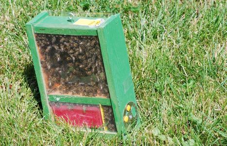 Computer Case Beehive : 8 Steps (with Pictures) - Instructables