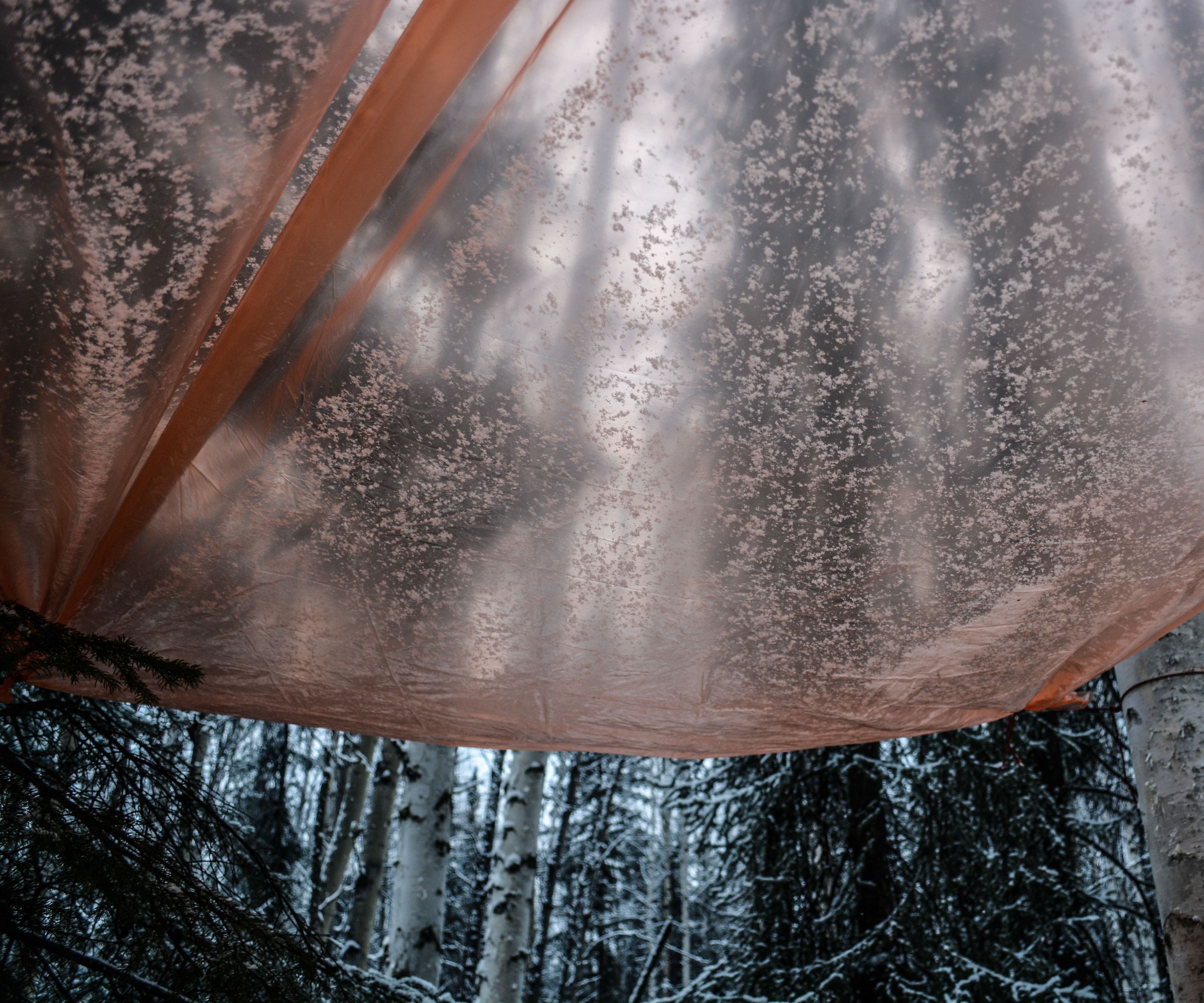 Making an Elevated Shelter Part Two