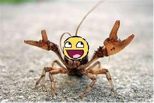 CrawfishYAY