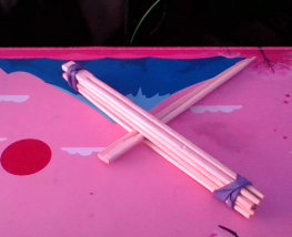 Easy to Make Catapult