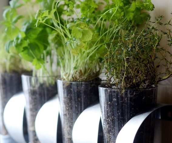 Wall-Mounted Herb Planter IKEA Hack