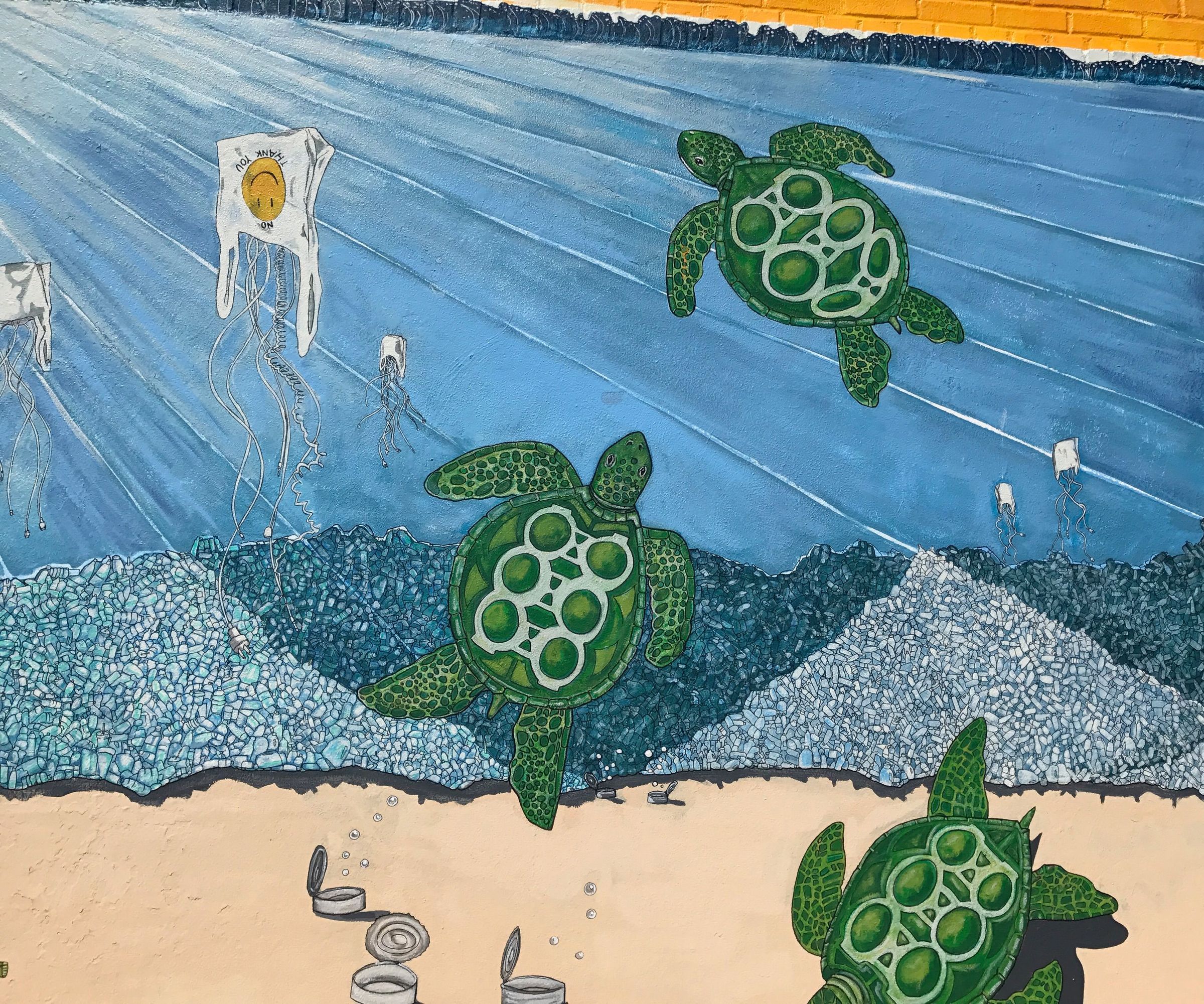 Ocean Awareness 