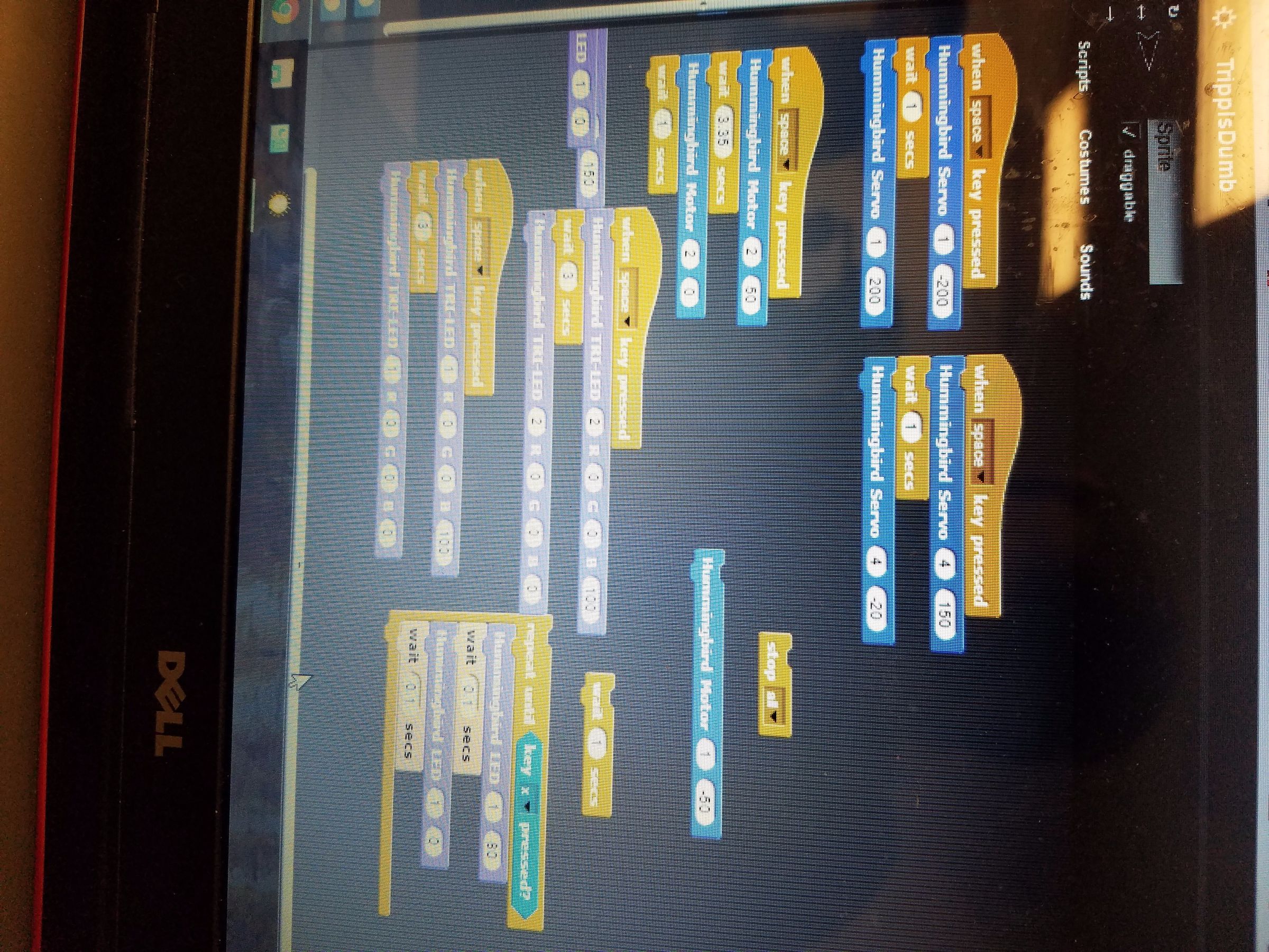 Hummingbird Tutorial : 7 Steps (with Pictures) - Instructables