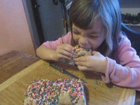 Miriam's Chocolate Chip Raisin Loaf