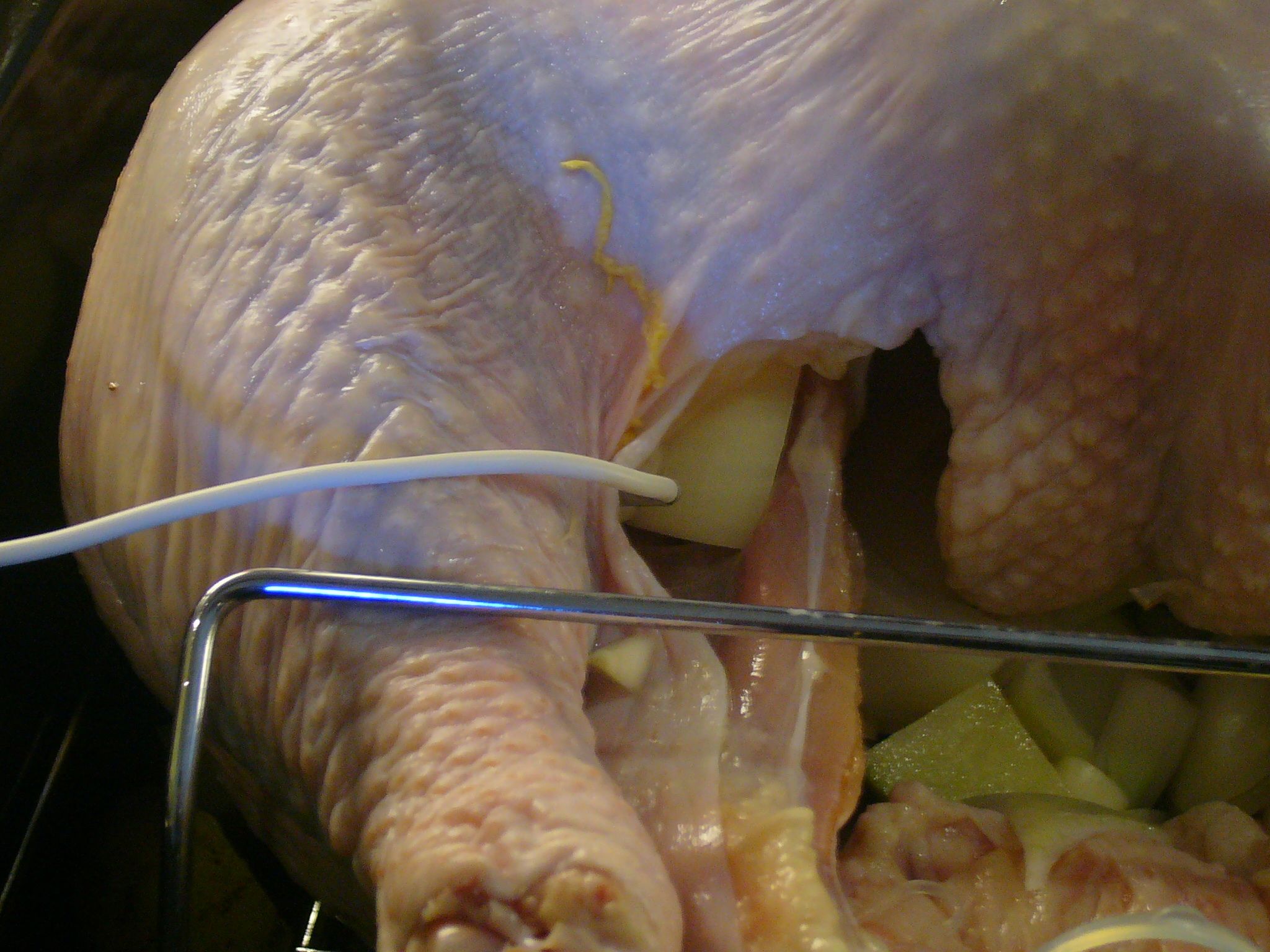 Statistical Analysis of Turkey Cooking