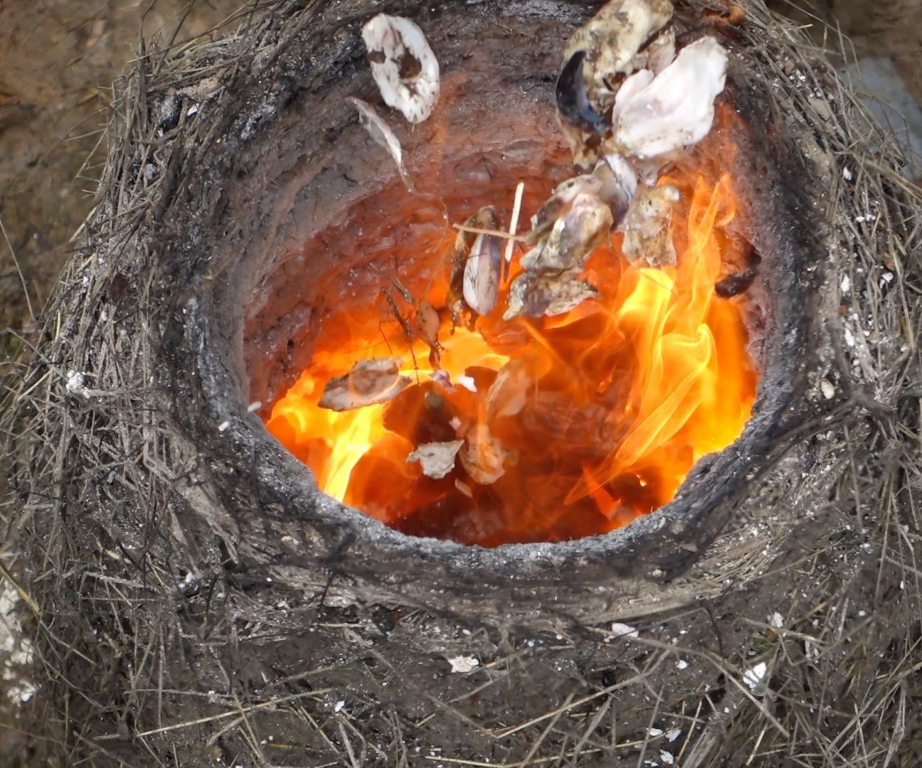 Burn Seashell Lime in a Primitive Straw/Clay Kiln!