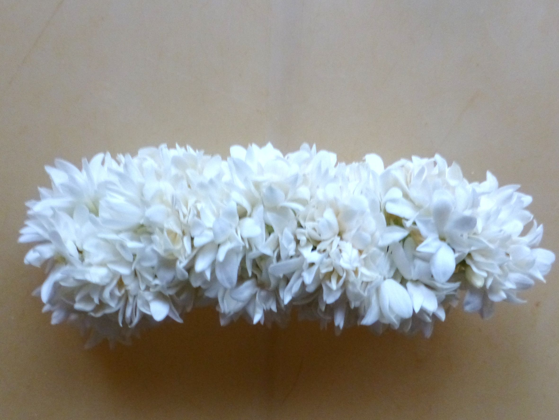 Discover 150+ plastic jasmine flower for hair latest camera.edu.vn