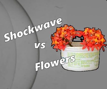 Produce Your Own Shock Waves at Home!