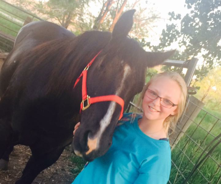 How to Properly Halter a Horse Introduction 5 Steps (with Pictures