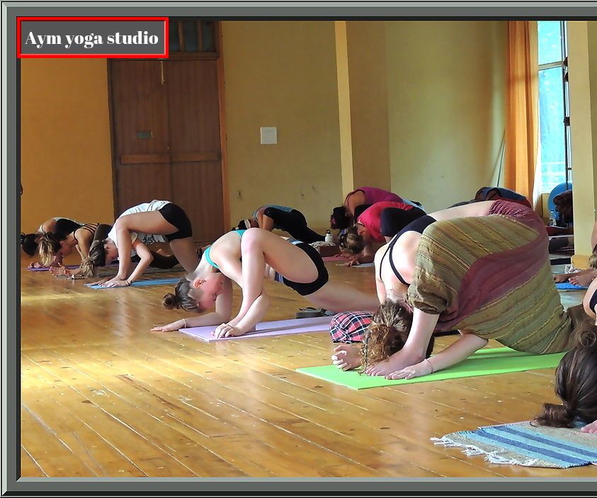 Hatha Yoga 