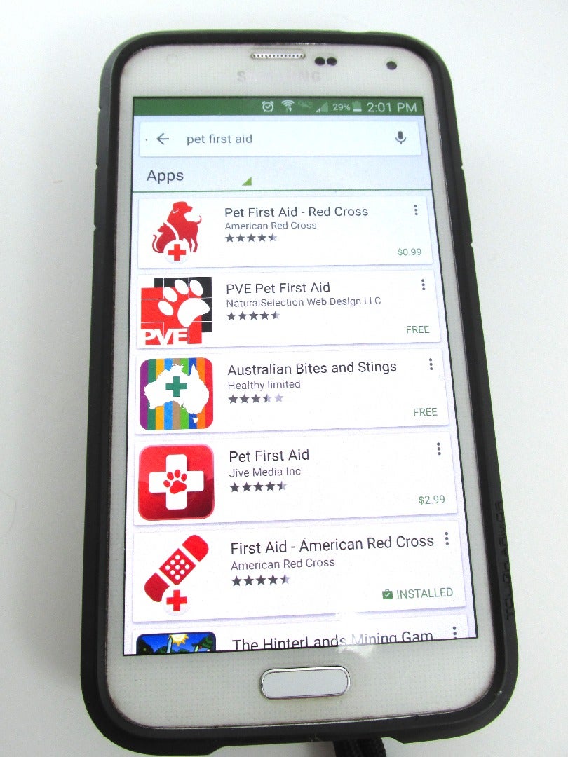 Paperwork and Digital Resources