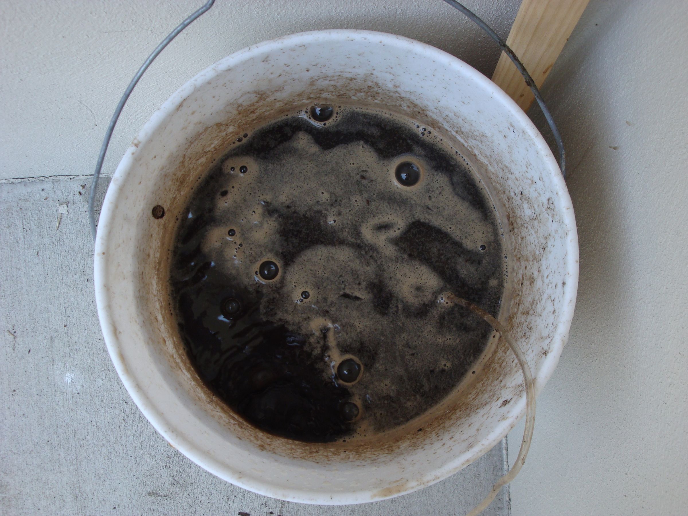 Making Compost Tea