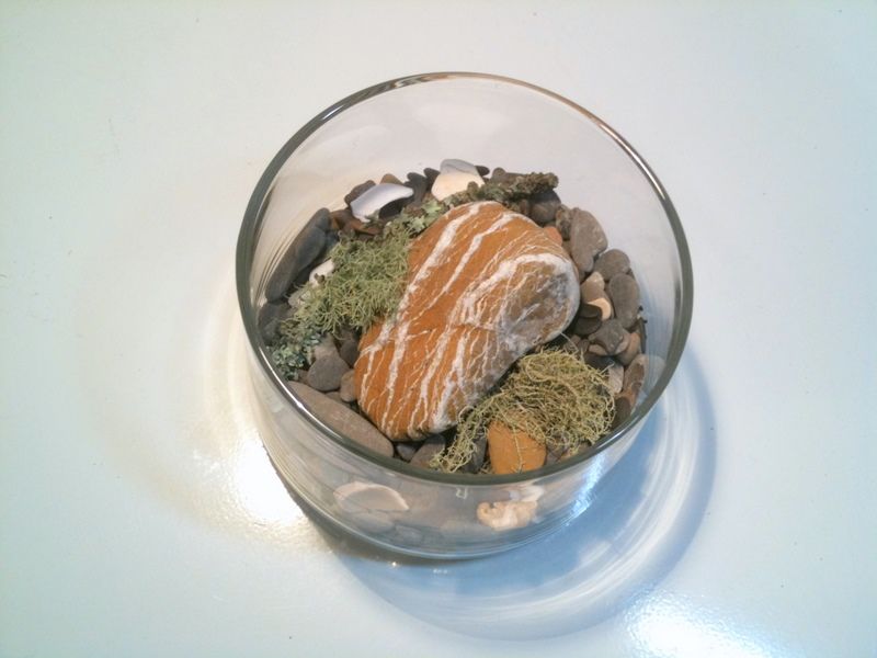 Gift Terrariums Ideas