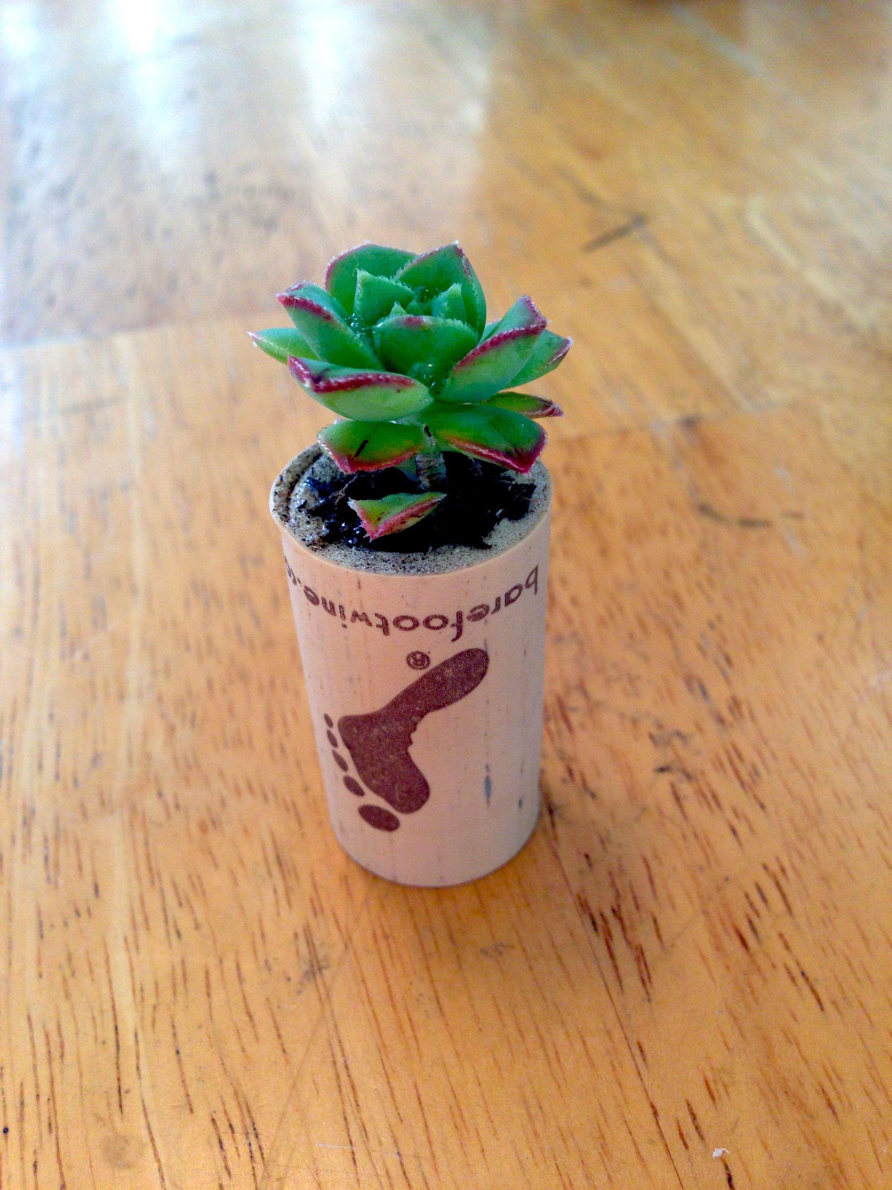 Mini Planters From Wine Corks