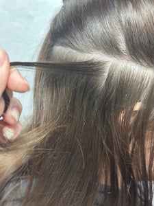 Gather Small Chunk of Hair