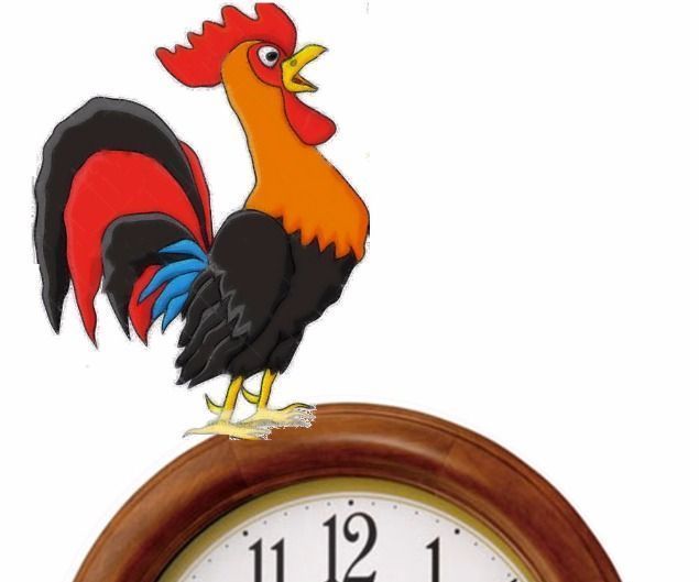 Raspberry Pi Rooster Clock