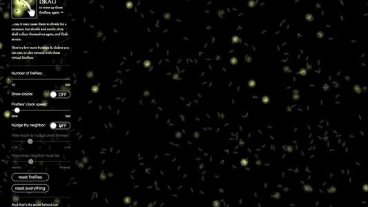 Real World Applications - Fireflies