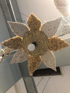 Smart Light Bio-Material